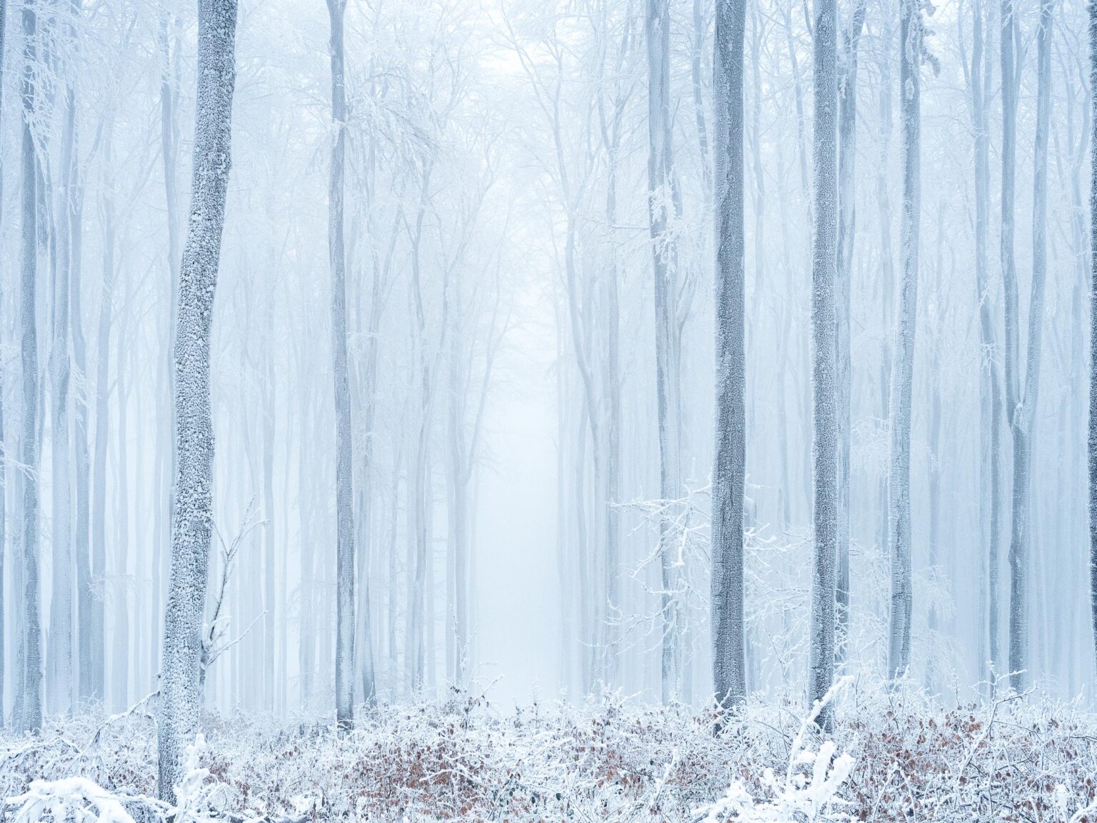 peter podpera landscape photography winter frozen trees austria lr 1061637